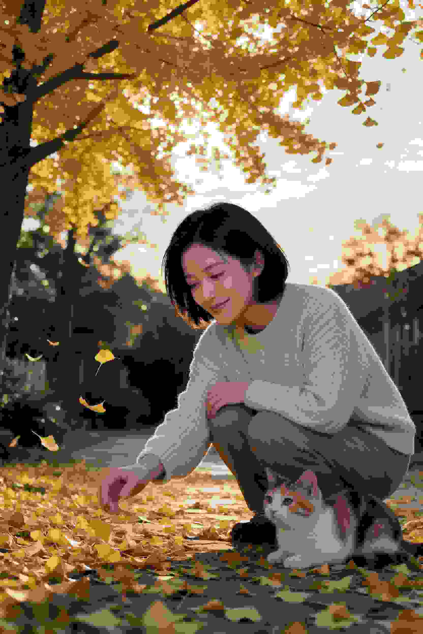 轮播